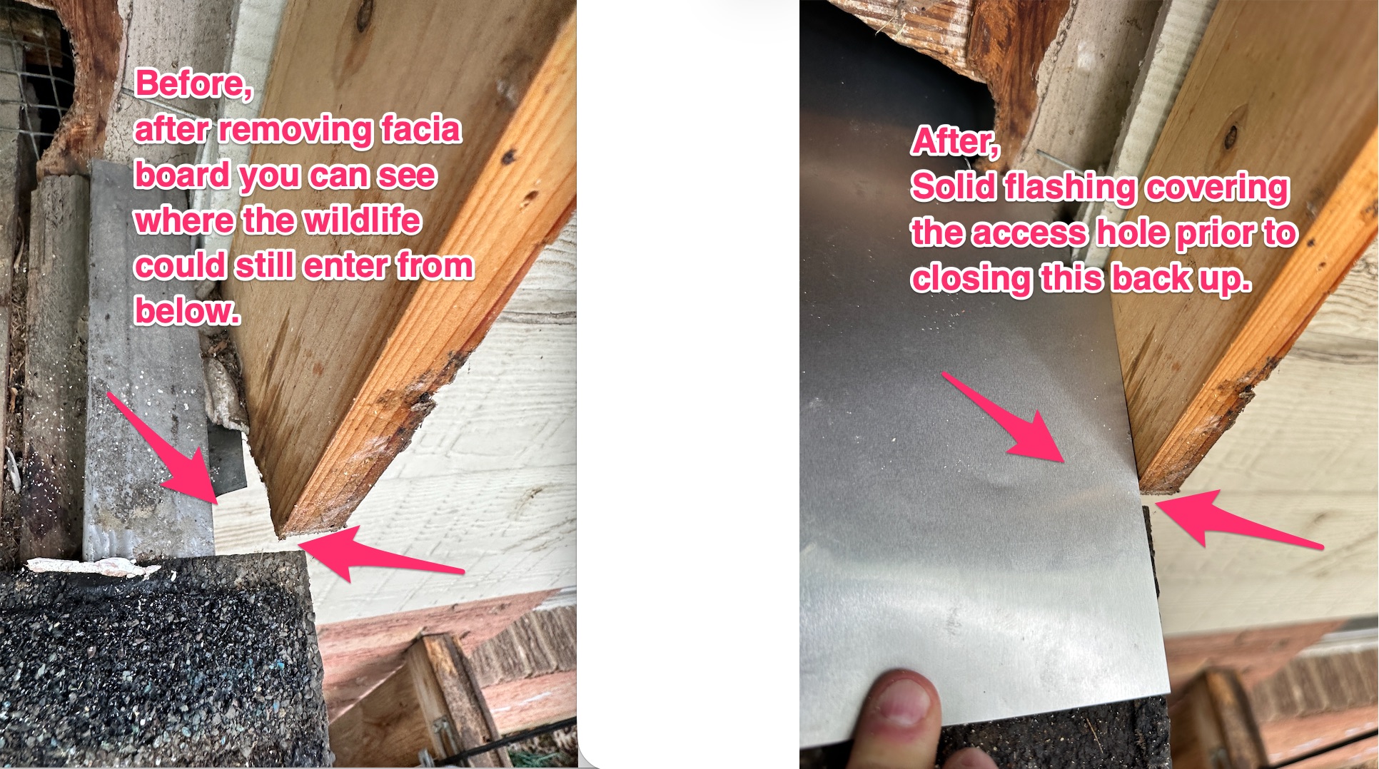 Before and after wood rot repair with new metal flashing sealing a wildlife access hole