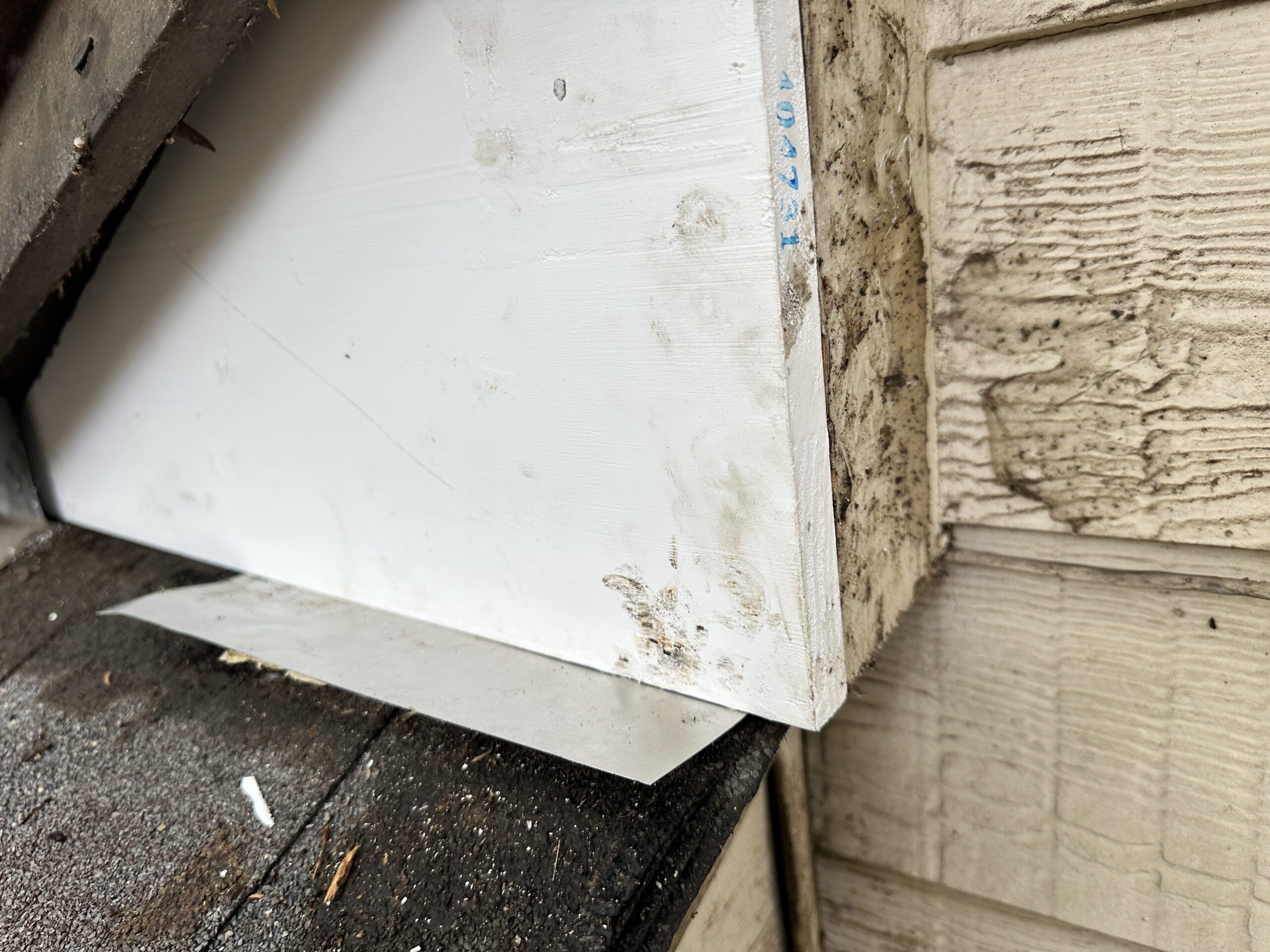 Rotten wood eave replacement and wildlife exclusion performed by Dallas Elite Home Services in Dallas, TX.